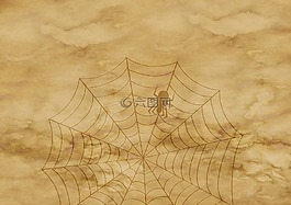 紙,羊皮紙,蜘蛛