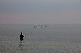 海,海洋,魚