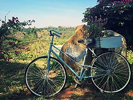 自行車,花,風(fēng)景