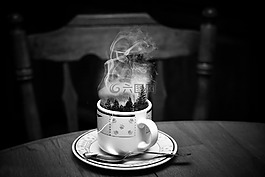 杯,蒸汽,森林