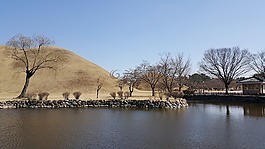 賽車,文化財產(chǎn),廢墟