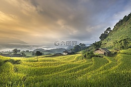 越南,露臺(tái),米