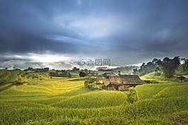 越南,露臺,米