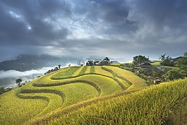 越南,露臺,米