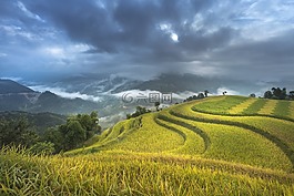 越南,露臺(tái),米