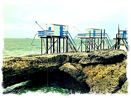 鰈魚,海洋,捕魚