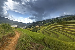 越南,露臺(tái),米