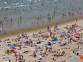 海灘,海,砂