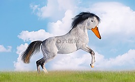 马鸭,马,鸭子
