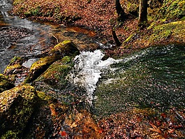 流,谷będkowska,克拉科夫附近的山谷