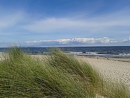 波羅的海,海灘,爾根