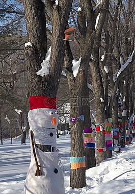 公園,雪,冬季