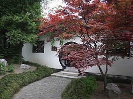 度假,公園,樹