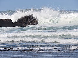 海洋,海岸,波