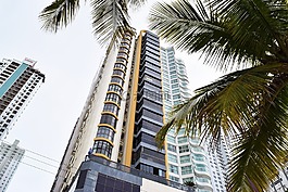 建筑,棕櫚樹,天空