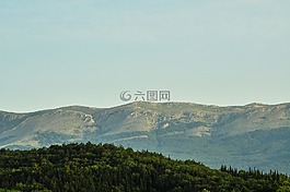 克里米亞阿盧什塔,森林,山