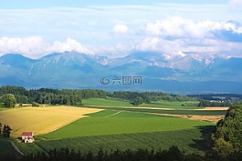 日本,北海道,美瑛