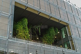樹(shù),樹(shù)上的建筑,建設(shè)