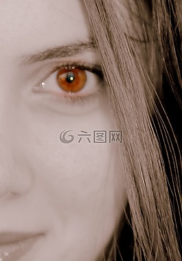 女孩,眼,棕色