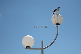 燈,球,天空
