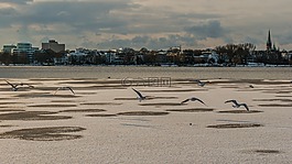 水域,海灘,沙