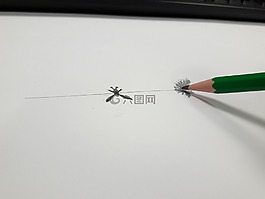 鉛筆,葉,繪圖