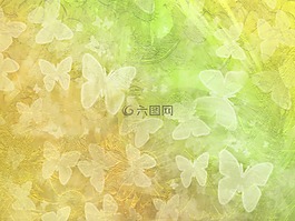 背景,花香,蝴蝶
