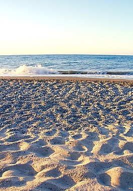 波,沙,海