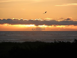 風(fēng)箏,日落,海洋