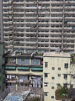香港,旺角,建設