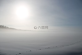 冬天,雪,原野