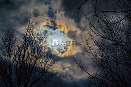 自然,木材,蓝色