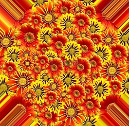 鮮花,夏季,性質(zhì)