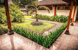 巴厘島,花園,綠色