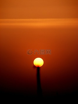 太陽,薄霧,花卉