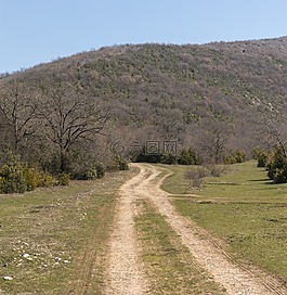 路徑,森林,山