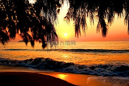 海,日落,光