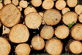木,holzstapel,背景