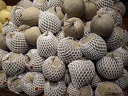瓜,熱帶水果,秘號(hào)決議