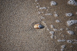 海,海灘,水