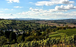kaiserstuhl,景观,天空