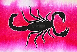 天蝎座,以圖形方式,節肢動物