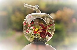 花,月份,蒙太奇花