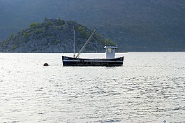 人體內(nèi)的水,船,海洋