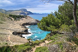 海岸,海,水