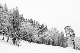 波兰,冬天,雪