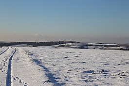 冬天,雪,寒冬