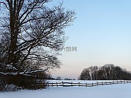 冬季,木材,雪