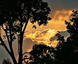 落日下的剪影,日落,云