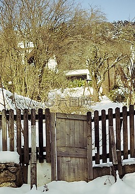 雪,冬天,木材